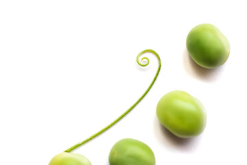 Pod of green peas close up on a white background with shadows