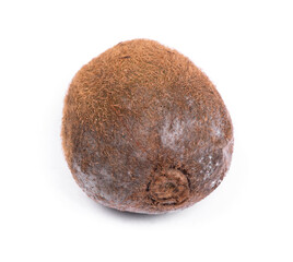 Rotten kiwi isolated