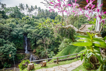 Layana waterfall in Ubud. Gianyar, Bali, Indonesia. Pink orchid growing on the tree.