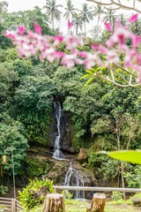 Gardinen Layana waterfall in Ubud. Gianyar, Bali, Indonesia. Pink orchid growing on the tree. © Gekko Gallery