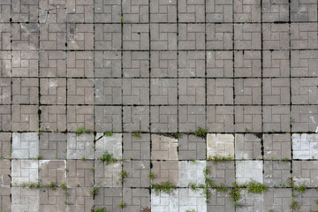 Old paving slabs with sprouted grass