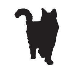silhouette of a cat