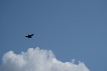 Dassault Rafale in Schweizer Bergen Swisss mountains 