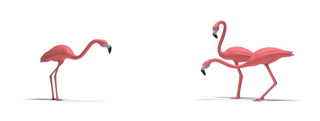 Pink flamingos observing something on a white background © Fox_Dsign