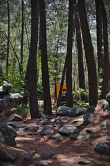 Bouldern, Baguette und Wald