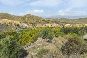 panoramic of a mountainous landscape with trees