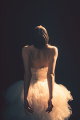 Young beautiful ballet dancer is posing in studio, view back. © Roman