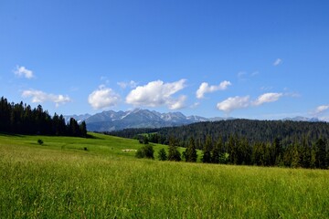 Tatra Mountains panorama seen from viewing point near Bukowina Tatrzanska. Gorgeous mountain range with high rocky peaks. Tatra Mountains and green farming fields in sunny summer day, Podhale, Poland 