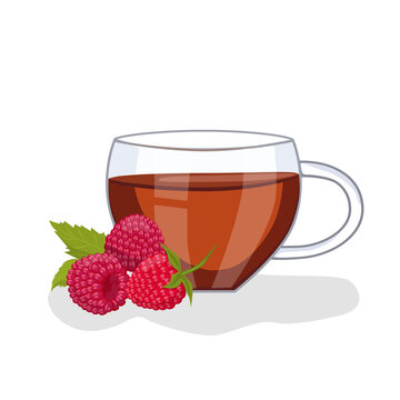 Tea with raspberries in a glass cup, raspberries are lying nearby. Vector illustration