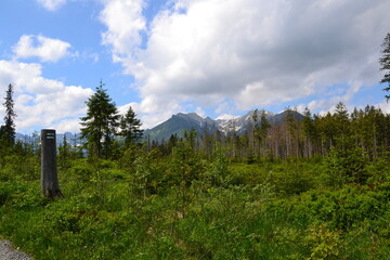 A mountain view from the green trail to the Rusinowa glade (Rusinowa Polana) on Tatra mountains, Poland. Trail sigh on the tree © PaulSat