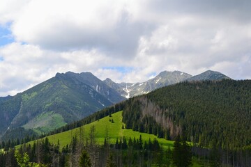 Beautiful view with mountain peaks and green meadow - Rusinowa glade seen from the green trail to the Rusinowa glade (Rusinowa Polana) on Tatra mountains, Poland © PaulSat