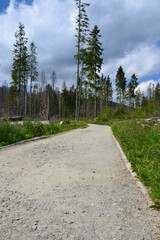 A mountain green trail to the Rusinowa glade (Rusinowa Polana) on Tatra mountains, Poland © PaulSat