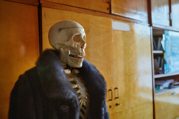 Skeleton of a man in a fur coat made of natural animal fur. Concept of Halloween, environmental protection