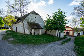 Fototapeta na wymiar Wineyards in Lower Austria