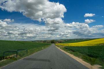 Fields in Lower Austria in spring