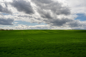 Fields in Lower Austria in spring