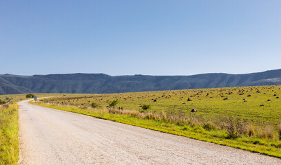 View of an empty country highway road