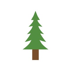 pine tree