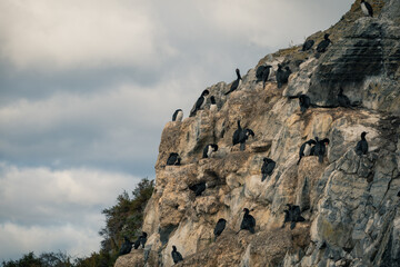 Ushuaia, City at the End of the World, Argentina. 09/05/2019: This is place is full of mountains and rivers and snow around the city center. Ushuaia is the capital of Tierra del Fuego