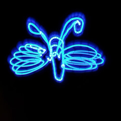 Light painting of a butterfly. Blue and white light combination against black background