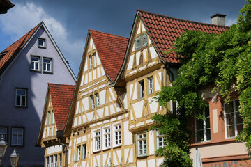 Obraz premium BESIGHEIM / GERMANY /Baden Württemberg, a region in Germany, Baden-Württemberg, where wine is grown