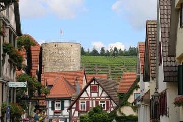 BESIGHEIM / GERMANY /Baden Württemberg, a region in Germany, Baden-Württemberg, where wine is grown
