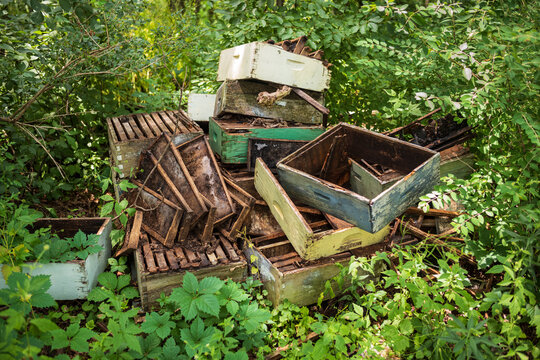 A close up image, showing the details of a discarded beekeeping hive, which is made of wood,  that was found in a wooded area surrounded by green vegitation. 