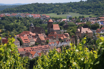 Fototapeta na wymiar BESIGHEIM / GERMANY /Baden Württemberg, a region in Germany, Baden-Württemberg, where wine is grown