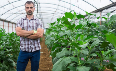Portrait of farm owner with arms crossed in greenhouse. High quality photo