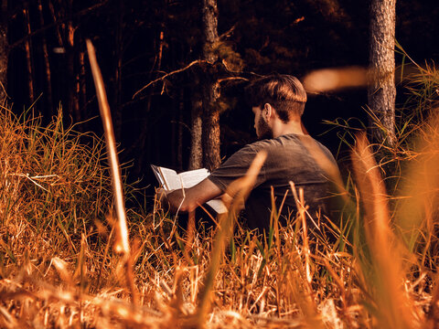 Man sitting on grass reading a book at sunset -autumn afternoon 