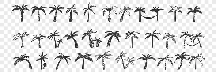 Poster Hand drawn palm trees doodle set. © drawlab19