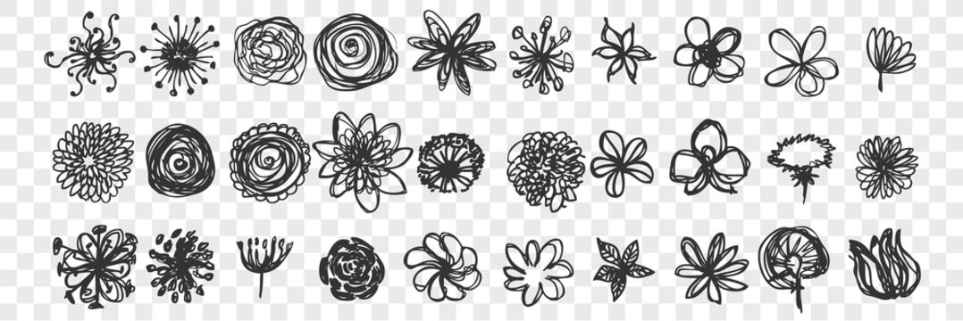 Hand drawn flowers doodle set