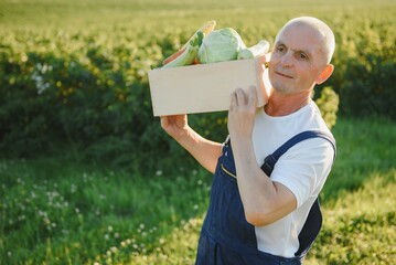 farmer carrying box of picked vegetables