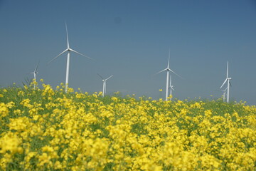 wind turbine farm, kinetic green energy from wind