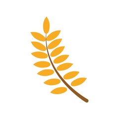 Naklejka premium wheat