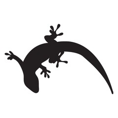 Fototapeta premium silhouette of lizard