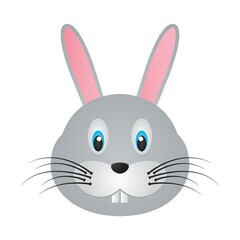 rabbit face
