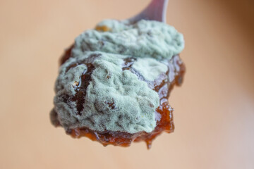 Macro photo of food mold on jam in a teaspoon.