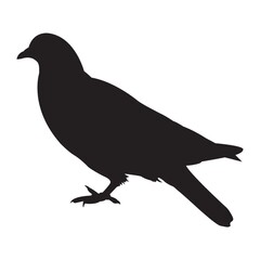 silhouette of bird