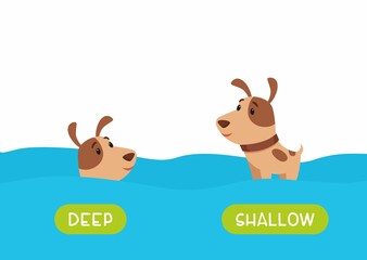 Little dog swimming cartoon illustration. Educational english flash card with antonyms flat vector template. Childish memo cards for language learning concept. Opposites, deep and shallow words.