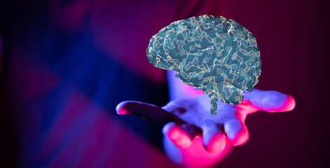 human brain imagination learning and mind