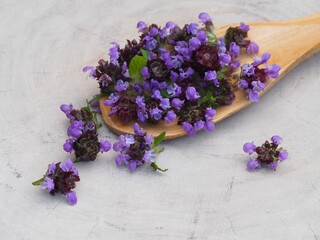 Medicinal plant Prunella vulgaris with blue flowers in a wooden spoon on a white stand closeup, top view. Useful herb for use in cosmetology and alternative medicine