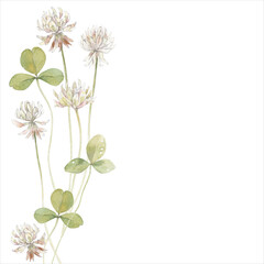 Watercolor illustration on white with copy space for text - background with clover - backdrop for greeting cards, posters, banners and placards.