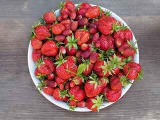Fresh natural strawberries of different varieties and sizes in a white plate on a wooden stand, top...