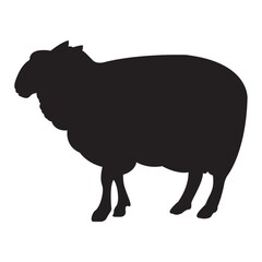 silhouette of sheep