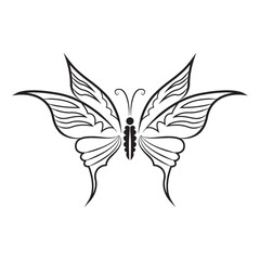 Fototapeta na wymiar butterfly tattoo