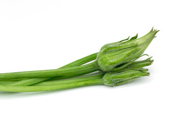 Pumpkin flowers isolated on white background.