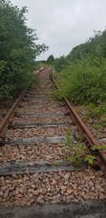 The old rail line