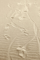 Bizarre footprints in the yellow sand. Sand beach