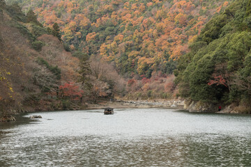Fototapeta na wymiar Autumn in Arashiyama, Kyoto, Japan